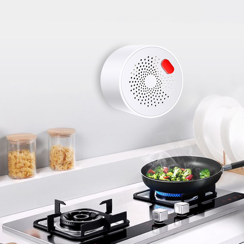 Tuya Smart Home Wifi Natural G – обзор и цена Home Security Gadgets