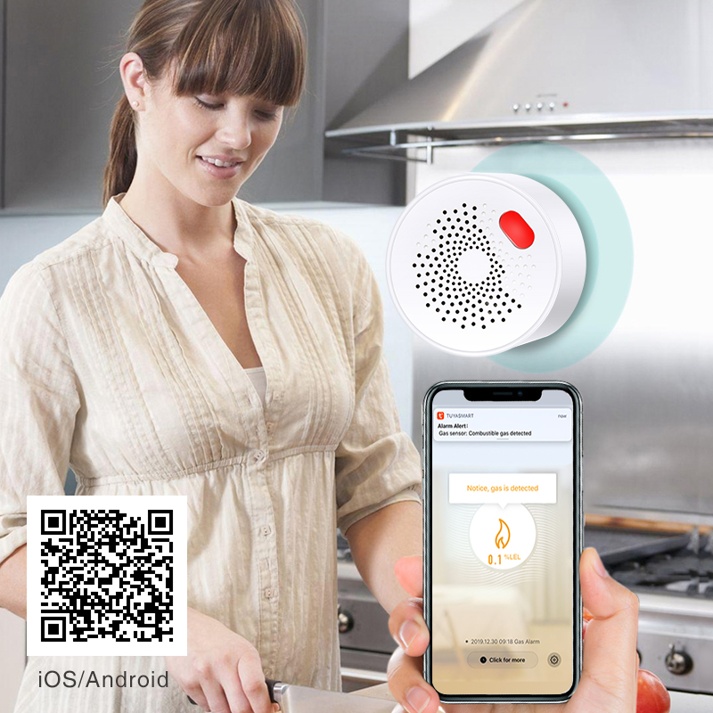 Tuya Smart Home Wifi Natural G – обзор и цена Home Security Gadgets